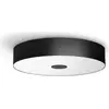 Image de Philips Hue White Amb. Fair Plafonnier noir 3000lm DS