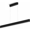 Image de Philips 929003052501 Philips Hue Ensis pendant black 2x39W 24V