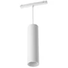 Image de Philips Hue White and Color ambiance Suspension cylindrique Perifo