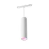 Image de Philips Hue white & Color ambiance Suspension Cylindrique Perifo - Blanc