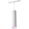 Image de Philips Hue White and Color ambiance Suspension cylindrique Perifo - Neuf