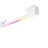 Image de Philips Hue white & Color ambiance Tube Lumineux Gradient Compact Perifo Blanc