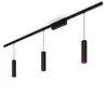 Image de Philips Hue white & Color ambiance Kit De Base Perifo Pour Plafond, Droit (3 suspensions) - Noir