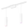 Image de Philips Perifo Kit De Base Pour Plafond, Droit (2 suspensions)