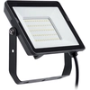 Image de Philips Projecteur LED ProjectLine 50W blanc chaud