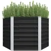 Image de Vidaxl - Lit Surélevé De Jardin Anthracite 129x129x77 Cm Acier Galvanisé