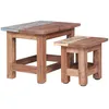 Image de Vidaxl - Tables Gigognes 2 Pcs Bois D'Acajou Massif
