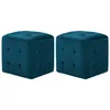 Image de Vidaxl - 2 Pcs Poufs Bleu 30 X 30 X 30 Cm Tissu Velours