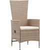 Image de vidaXL Chaises de jardin 2 pcs. avec coussins Poly Rattan Beige