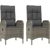 Image de vidaXL Chaises de jardin 2 pcs. Poly rotin gris