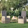Image de Vidaxl - Chaise Inclinable De Jardin 2pc Et Coussins Résine Tressée Gris