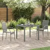 Image de vidaXL Chaises de jardin empilables 2 pcs. Gris Poly Rattan