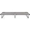 Image de vidaXL Chaise longue pliante Gris Acier