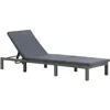 Image de Chaise Longue Avec Coussin Résine Tressée Anthracite