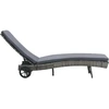 Image de vidaXL Chaise longue avec roulettes et support Poly-Rotin Anthracite