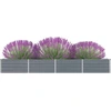Image de vidaXL Lit surélevé de jardin Acier galvanisé 320×40×45 cm Gris