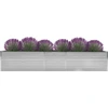 Image de vidaXL Lit surélevé de jardin Acier galvanisé 400x80x45 cm Gris