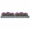 Image de Lit Surélevé De Jardin Acier Galvanisé 600x80x45 Cm Gris Vidaxl