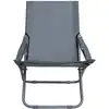 Image de vidaXL Chaises de plage pliantes 2 pcs. tissu gris