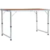 Image de Vidaxl - Table Pliable De Camping Aluminium 120x60 Cm