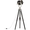 Image de vidaXL Lampe sur pied Noir Mango Bois massif 171 cm