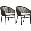 Image de Chaises De Jardin Lot De 2 Marron Rotin Pe Vidaxl