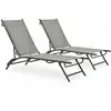 Image de Chaises Longues 2 Pcs Textilène Et Acier