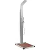 Image de vidaXL Douche de jardin avec élément de sol WPC acier inoxydable