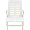 Image de vidaXL Chaise longue pliante plastique blanc