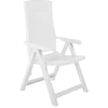 Image de vidaXL Chaises de jardin réglables 2 pcs. Plastique blanc