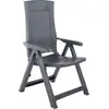 Image de vidaXL Chaises de jardin réglables 2 pcs. Plastique Anthracite