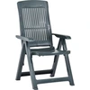 Image de vidaXL Chaises de jardin réglables 2 pcs. Plastique Vert