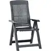 Image de vidaXL Chaises de jardin réglables 2 pcs. Plastique Anthracite