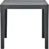 Image de vidaXL Table de jardin anthracite 78x78x72 cm plastique