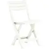 Image de Vidaxl - Chaises De Jardin Pliables Lot De 2 Plastique Blanc