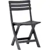 Image de vidaXL Chaises de jardin pliantes 2 pcs. Plastique Anthracite