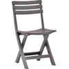 Image de vidaXL Chaises de jardin pliantes 2 pcs. Plastique moka
