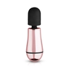 Image de Rosy Gold - Nouveau Mini Massager