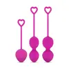 Image de Set de Boules de Kegel Pondérées   Fuchsia