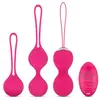 Image de Ensemble de boules de Kegel avec télécommande - Rose