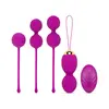 Image de Ensemble de boules de Kegel avec télécommande - Violet