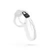 Image de Cage de chasteté Lockdown Transparent - Grand
