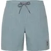 Image de PROTEST DAVEY beachshort Arcticgreen S