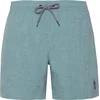 Image de PROTEST DAVEY beachshort Arcticgreen XL
