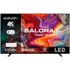 Image de Salora SMART55TV, 139,7 cm (55"), 3840 x 2160 pixels, LED, Smart TV, WLAN, noir
