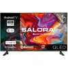 Image de Salora QLED40TV, 101,6 cm (40"), 1920 x 1080 Pixel, QLED, Smart-TV, WLAN, Schwarz