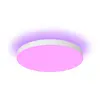 Image de Philips Hue White & Color Ambiance Plafonnier Datura Petit Format