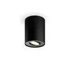 Image de Philips Hue White Ambiance Ext. Spot Unique Pillar