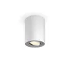 Image de Philips Hue White Ambiance Ext. Spot Unique Pillar