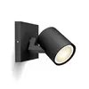 Image de Philips Hue White Ambiance Ext. Spot Unique Runner